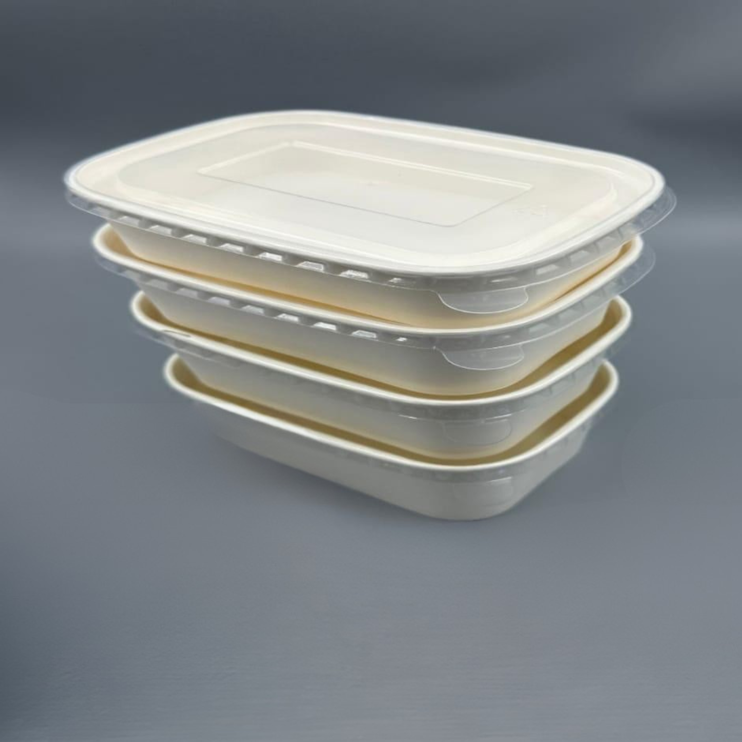 ASSIETTE DE DESSERTS-SALADES EN BAMBOU AVEC COUVERCLE PACK DE 300PCS