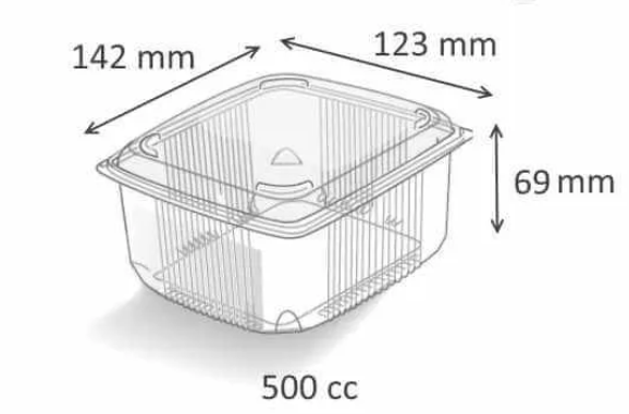 BARQUETTES TRANSPARENTS AVEC CHARNIERE PACK DE 1000PCS